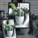 Folia Ochronna SAMSUNG GALAXY Z FOLD 5 Whitestone ALL-IN-ONE 2-SET Clear