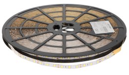 TAŚMA LED LED60A-12V/14.4W-NW/50M 50 m - 4000 K