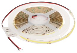 TAŚMA LED LED-COB-24V/12W-CW/5M - 6500 K MW Lighting