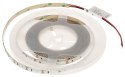 TAŚMA LED LED120-12V/9.6W-CW/5M - 16000 K MW Lighting