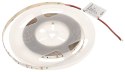 TAŚMA LED LED120-12V/9.6W-NW/5M - 4000 K MW Lighting