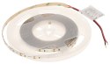 TAŚMA LED LED120-12V/9.6W-WW/5M - 3000 K MW Lighting