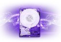 DYSK WD PURPLE 3TB PURX