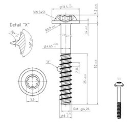 Wkręt do tworzywa TORX 6x50 A2 CORAB M960