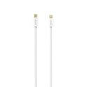 Kabel VIDVIE CB4011 Type C/iPhone 3A (PD 30W) 2m biały