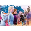 Puzzle - 24 Maxi - Magiczna wyprawa - Kraina Lodu II - Trefl 14298