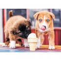 Puzzle - 500 - Pora na lody - Trefl 37272