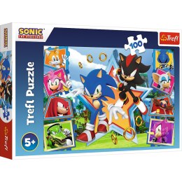 Puzzle - 100 - Poznaj Sonica - Trefl 16465