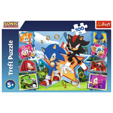 Puzzle - 100 - Poznaj Sonica - Trefl 16465