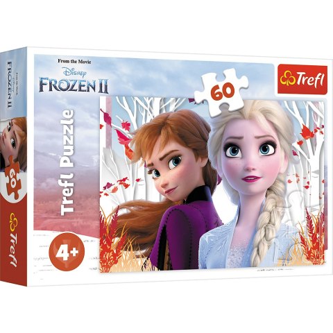 Puzzle - 60 - Zaczarowany świat Anny i Elsy - Kraina Lodu II - Trefl 17333