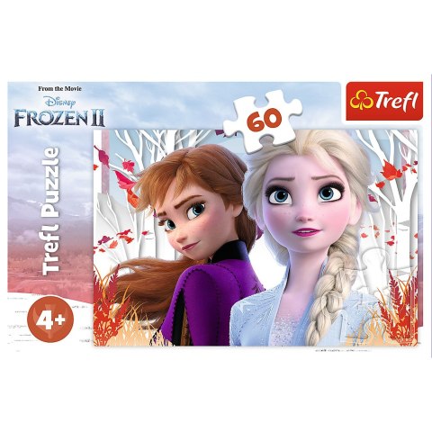 Puzzle - 60 - Zaczarowany świat Anny i Elsy - Kraina Lodu II - Trefl 17333