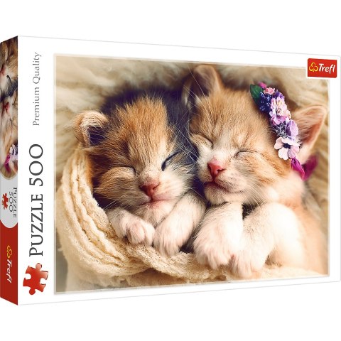 Puzzle - 500 - Śpiące kotki - Trefl 37271