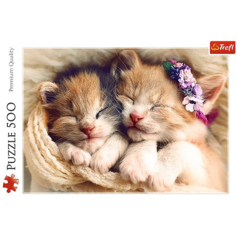 Puzzle - 500 - Śpiące kotki - Trefl 37271