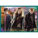 Puzzle - 10w1 - Harry Potter - W świecie Harrego Pottera - Trefl 90392