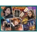 Puzzle - 10w1 - Harry Potter - W świecie Harrego Pottera - Trefl 90392
