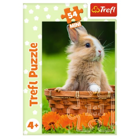 Puzzle - 54 mini - Urocze zwierzątka - Trefl 54195