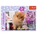 Puzzle - 54 mini - Urocze zwierzątka - Trefl 54195