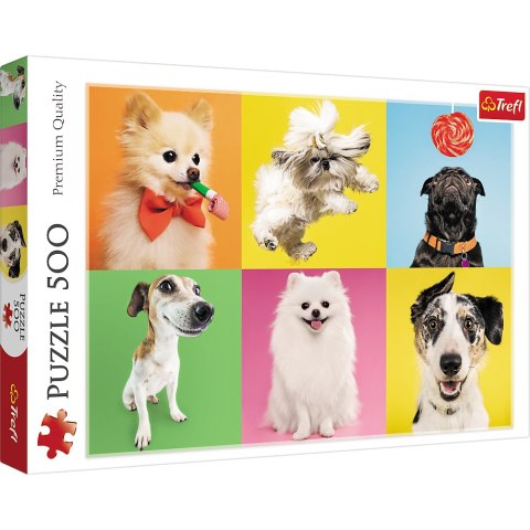 Puzzle - 500 - Psy - Trefl 37378