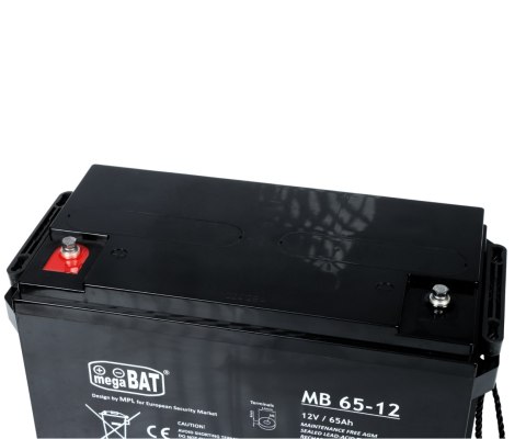 AKUMULATOR 12V/65AH-MB megaBAT