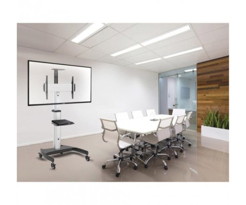 MOBILNY UCHWYT MONITORA MC-801 MACLEAN