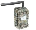 FOTOPUŁAPKA HC-BG662-XM BOLY