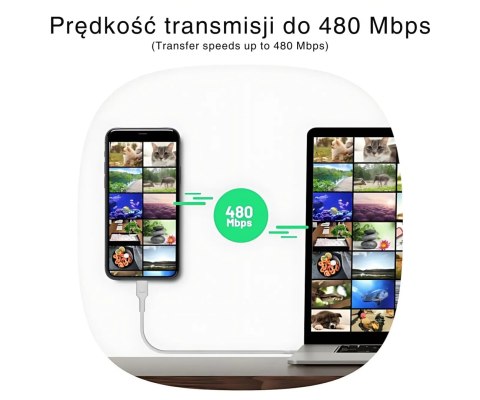 PRZEWÓD KABGC100PS200SW USB-C/USB-C PowerStream 2.0 m Green Cell