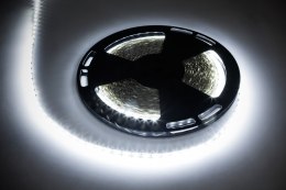Sznur diodowy 25m Rebel (60x5050SMD/m), zimny biały, 12V
