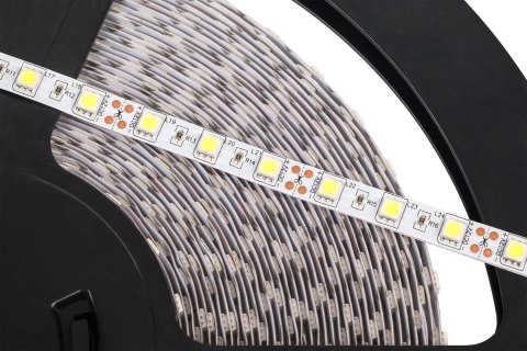 Sznur diodowy 25m Rebel (60x5050SMD/m), zimny biały, 12V