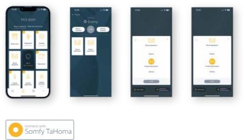 Moduł łączności BFT B-EBA Wi-Fi EVO z anteną (Bluetooth/easyAXS/TaHoma)