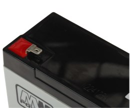 AKUMULATOR 6V/12AH-MWS MW Power