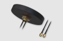 Teltonika antena ROOF SMA PR1KCL25 COMBO MIMO Mobile