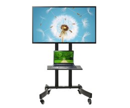 MOBILNY UCHWYT MONITORA MC-739 MACLEAN