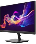 Monitor Hikvision DS-D5024F2-AP2