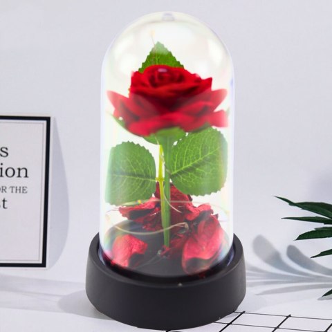 Wieczna Róża w Kopule z Oświetleniem LED Czerwona z Płatkami Róż 14x8cm