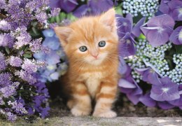 Puzzle 500 HQC RUDY KOTEK Plakat Clementoni 35585