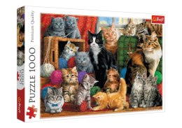Puzzle - 1000 - Kocie Spotkanie - Trefl 10555