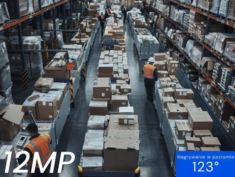 Kamera IP Reolink Professional RP-PCT12M 12MP PoE Kopułowa